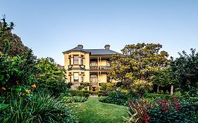 The Corinda Collection